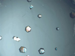 Материал абсорбирующего СО2 с кристалликами углерода под микроскопом