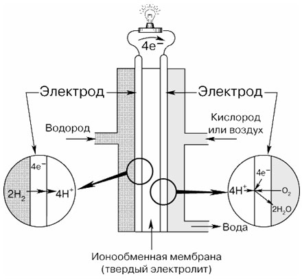 Принцип действия топливного элемента с ионообменной мембраной