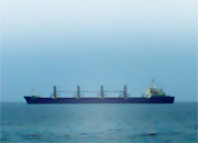 Аварийное судно «Ориентал Эйнджел» угрожает экологии Чукотки