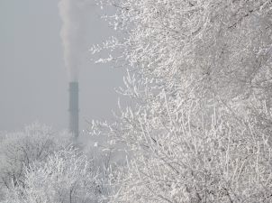 «Рубцовский теплоэнергетический комплекс» обеспечит топливом соседние муниципалитеты Алтая