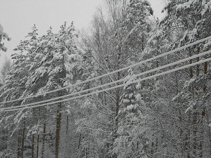 В «Псковэнерго»  преодолевают последствия  циклона:обивают снег с проводов ЛЭП и деревьев