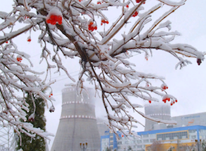 АЭС Украины выработали за сутки 289,87 млн кВт·ч