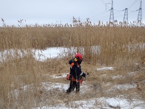 «ФСК ЕЭС» очистит от зарослей камыша ЛЭП на территории Черноземья