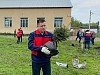 «Кузбассразрезуголь» победил в областном экологическом конкурсе