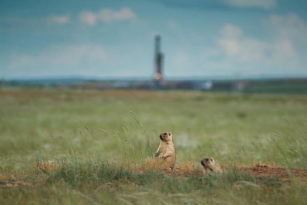 «Газпромнефть-Оренбург» в Год экологии направит 6 млрд рублей на утилизацию попутного нефтяного газа