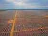 Enel построила в Бразилии солнечный парк Horizonte установленной мощностью 103 МВт