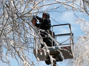 Снегопад в Сочи вызвал массовые аварийные отключения в распределительных сетях 6-10 кВ