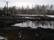 Ученые Пермского Политеха нашли экономичный способ восстановить почвы от нефтепродуктов