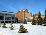 В активной зоне первого энергоблока Балаковской АЭС работают шесть ТВС РЕМИКС-топлива