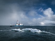 «Роснефть» и «Иннопрактика» объявили о новом экологическом проекте в Белом море