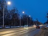 Основная трасса в Петергоф стала светлее и безопаснее