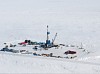 Подкова на счастье: на Аляске открыто крупнейшее в США за 30 лет месторождение нефти