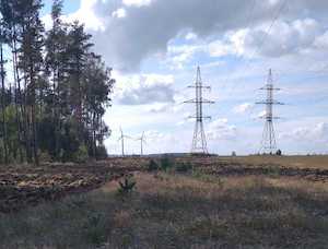 «Столбцовские электрические сети» расчистили 4,5 га просек ЛЭП