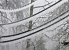 Непогода обесточила 14 из 17 районов Ярославской области