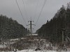 «Донецкоблэнерго» расчистит 420 км трасс ЛЭП