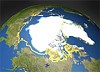 «Роснефть» получила одобрение Росприроднадзора по восьми программам геологоразведки в Западной Арктике