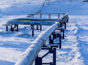 «Газпромнефть-Муравленко» в 2017 году заменит не менее 137 км трубопроводов