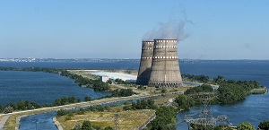Черные амуры Запорожской АЭС