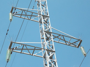 «Лабинские электрические сети» устанавливают на ЛЭП птицезащитные устройства