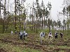 Курские атомщики посадили почти три тысячи деревьев в рамках международной акции «Сад памяти»