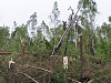 Энергетики МОЭСК ликвидировали последствия урагана