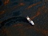 BP назвала причину утечки нефти в Мексиканском заливе
