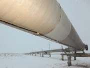 Около трети всего объема нефти, экспортируемой Россией в адрес Японии, поставляется «Роснефтью»