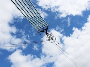«Хабаровские электрические сети» установят на ЛЭП в 2020 году около 2 000 птицезащитных устройств