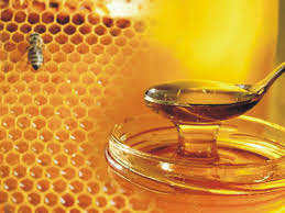 Самарские правильные пчелы получили для призводства меда дополнительное электричество