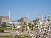 Суммарная мощность генераторов Запорожской АЭС составляет 2400 МВт