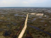 Геологи обнаружили на Ямале залежь с запасами 1 млн тонн нефти
