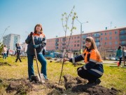 200 молодых деревьев высадили сотрудники Распадской угольной компании