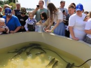 ЕВРАЗ выпустил в Нижнетагильский пруд более 1000 особей белого толстолобика