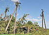 В Вологодской области устраняют последствия урагана