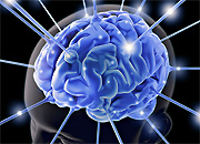 «Ленэнерго» выделило мощность Институту мозга человека