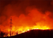 Лесной пожар в охранной зоне ЛЭП «Колэнерго» локализован