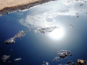 На реке Ангара в протоке Кривая обнаружено нефтяное пятно
