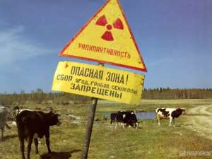 Экологи требуют не скрывать информацию об опасных радиоактивных отходах