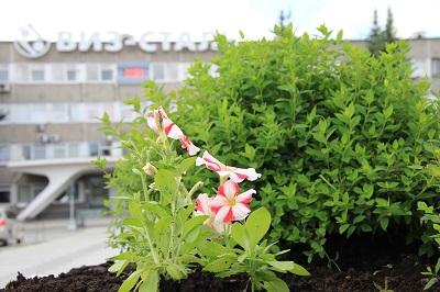 На ВИЗ-Стали к Дню эколога завершилась «Зеленая весна»