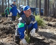 «Зеленая весна»: уральские газовики посадили 3000 елей и сосен, убрали миллион квадратных метров и дважды стали лучшими