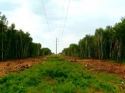Лабинские электрические сети планируют расчистить порядка 11 гектаров трасс ВЛ