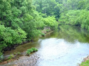 «Транснефть-Порт Козьмино» восполняет биологические ресурсы реки Рязановки