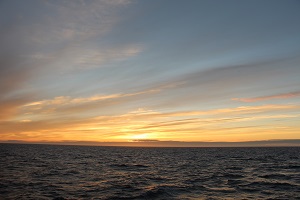 «Роснефть» приступила к сейсморазведочным полевым работам в Охотском море