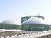 Биогазовая станция «Лучки» отмечает 5 лет с момента выработки первого киловатт-часа