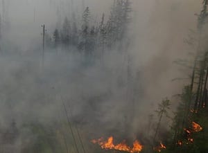 Лесной пожар в Момском районе Якутии повредил опоры ЛЭП «Соболох – Победа»
