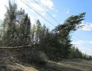 «Облкоммунэнерго»  Свердловской области направит на расчистку территории «лесных» ЛЭП 3,7 млн рублей