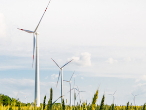 Росатом до 2024 года введёт в эксплуатацию ветроэлектростанции общей мощностью 1,2 ГВт