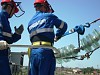 «Астраханские электрические сети» отремонтировали 124 км ВЛ разных классов напряжения