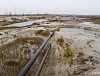 Гринпис требует привлечь к ответственности виновников 200 нефтяных разливов на севере России