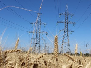 «Кубаньэнерго» подключило к электросетям 100 объектов АПК на юго-западе Краснодарского края